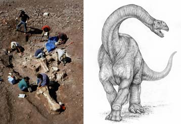 Ανακάλυψη πρωτόγονου δεινοσαύρου σε αποστολή του National Geographic