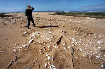 Σκόνη έγιναν οι Δέκα Εντολές