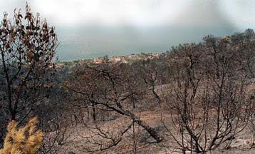 Στην αντιπυρική προστασία της Ελλάδας μπορούν να συμβάλουν τα Γεωγραφικά Συστήματα Πληροφοριών