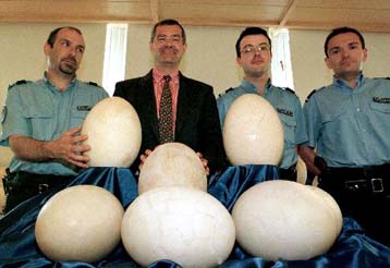 Δημοπρασία δεινοσαύρων αποφέρει περίπου ένα εκατομμύριο δολάρια