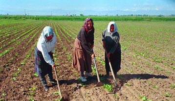 Μειώνονται τα διαρθρωτικά κονδύλια της ΕΕ για τις ελληνικές περιφέρειες