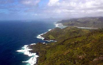 Εκστρατεία WWF για την προστασία των αρχαίων δασών