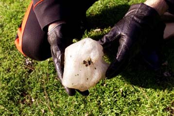 Και στην Ιταλία πέφτουν πάγοι από τον ουρανό – Στο νοσοκομείο κάτοικος της Ανκόνα