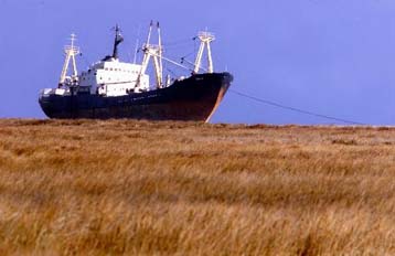 Από τη θάλασσα στην ξηρά