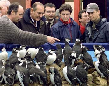 Αυστηρότερους διεθνείς κανόνες για τη ναυσιπλοΐα και τη ρύπανση ζήτησε ο Σιράκ