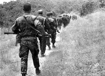 Δύο νεκροί στρατιώτες από επίθεση ισλαμιστών ανταρτών στην Αλγερία