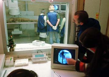 Μεταλλικό αντικείμενο βρέθηκε στο κεφάλι αιγυπτιακής μούμιας