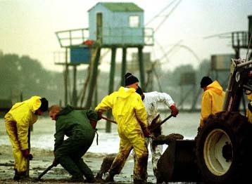 Καλύφθηκαν από πετρέλαιο και άλλες περιοχές της Βρετάνης