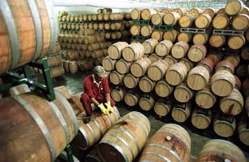 Φορέα για την προώθηση της ελληνικής οινοποιίας δημιουργεί το υπουργείο Γεωργίας