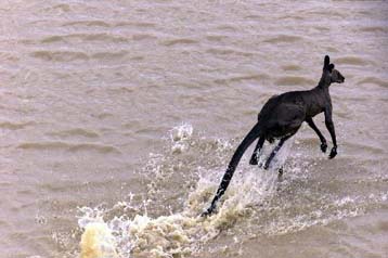 Οι χειρότερες πλημμύρες των τελευταίων 50 ετών