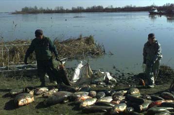 Προς το Δούναβη κινείται η κηλίδα κυανίου
