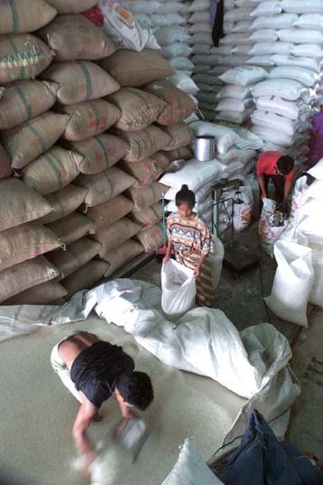 Το σούπερ ρύζι θα εξαφανίσει το πρόβλημα της πείνας;