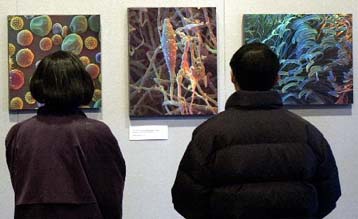 Μηχανισμός διαίρεσης των κυττάρων δίνει ελπίδες στον αγώνα κατά του καρκίνου