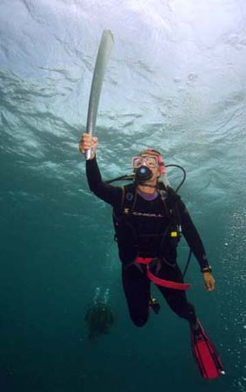 Υποβρυχίως… θα φτάσει η ολυμπιακή φλόγα στο Σίδνεϊ