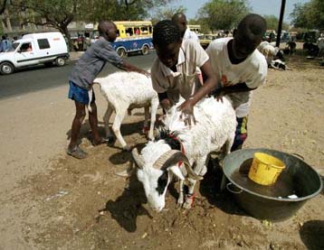 Ενα δισεκατομμύριο παιδιά κινδυνεύουν από υποσιτισμό