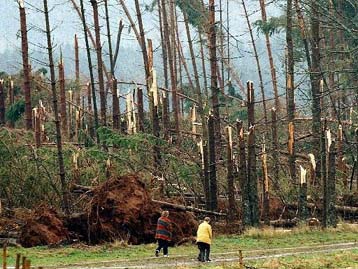 15η έρχεται η Ελλάδα στην Ευρώπη σχετικά με την ποιότητα της δασοπονίας