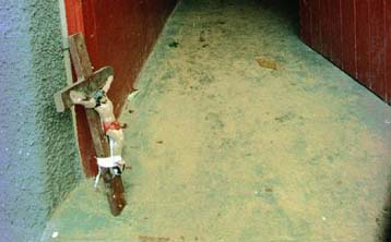 Η μακρά ιστορία των φονικών αιρέσεων