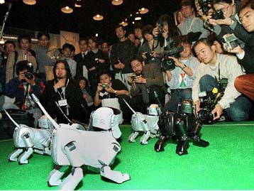 Ρομποζώα και ρομπόψαρα… Πού αλλού; Στην Ιαπωνία