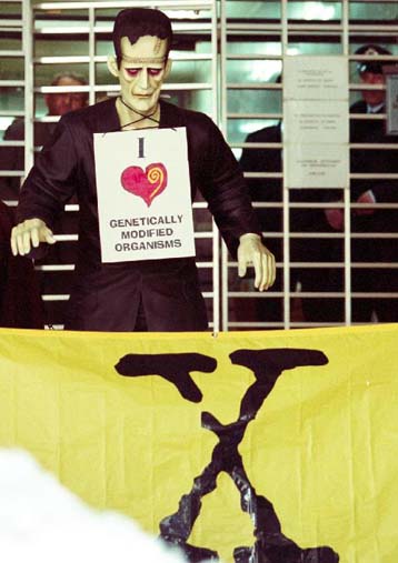 Η Ελλάδα εισάγει παράνομα μεταλλαγμένο βαμβακόσπορο