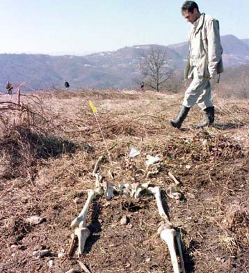 Στη Χάγη Σερβοβόσνιος σφαγέας