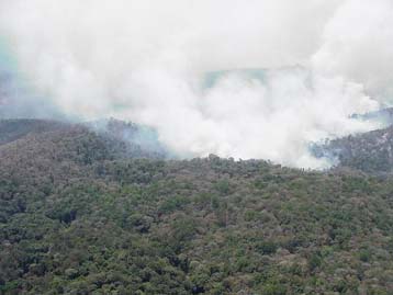 70.000 άτομα διατίθενται για την κατάσβεση πυρκαγιών στα δάση του νότου