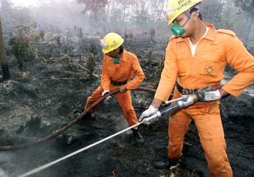 Εκατοντάδες πυρκαγιές κατακαίνε τα δάση της Ινδονησίας