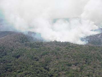 Θλιβερή εικόνα εμφανίζει η Ελλάδα στον τομέα της δασοπροστασίας