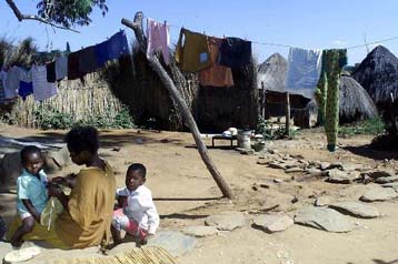 Τερματίζουν τις πράξεις βίας εναντίον λευκών κτηματιών οι βετεράνοι στη Ζιμπάμπουε