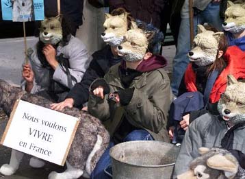 Επιστρέφουν οι λύκοι στην Ιταλία