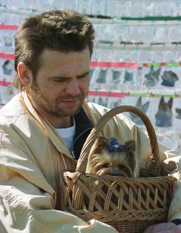 Τσιπ-ταυτότητα στο σώμα σκύλων