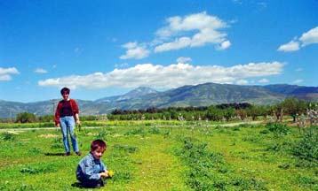 Το 30% των Ελλήνων πάσχει από αλλεργίες
