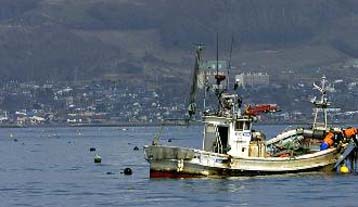 Στους 79 έφτασαν οι νεκροί από το ναυάγιο στις Φιλιππίνες