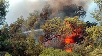 Σε εξέλιξη η πυρκαγιά στη Σάμο
