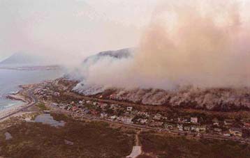 Μεγάλες οι καταστροφές από πυρκαγιές και στην Τουρκία