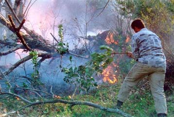 Μαίνεται σε δύο μέτωπα η πυρκαγιά στη Σάμο – Ενισχύσεις από Αθήνα