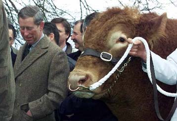 Η Αγγλικανική Εκκλησία υπέρ του γάμου Καρόλου – Καμίλα