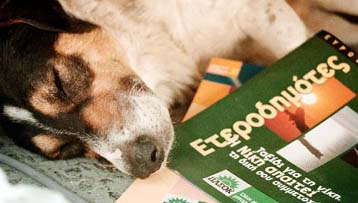 Εκλογική άδεια από μία έως τρεις ημέρες για τους ετεροδημότες