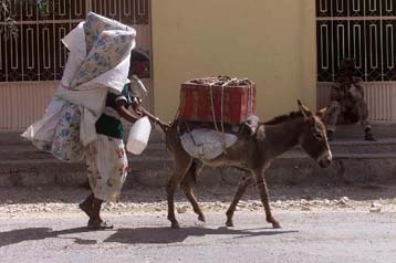 Tις στρατιωτικές της επιτυχίες στην Ερυθραία θέλει να κατοχυρώσει η Αιθιοπία