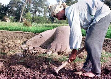 Κινδυνεύουν οι αρχαιολογικοί θησαυροί στο Δέλτα του Νείλου αν δεν ανασκαφούν σύντομα
