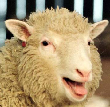 Ακούστε τις ανησυχίες του κοινού, προτρέπει κορυφαίος γενετιστής