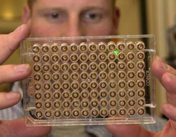 Καθηγητής του ΜΙΤ ζητά την απαγόρευση γενετικών πειραμάτων στον άνθρωπο