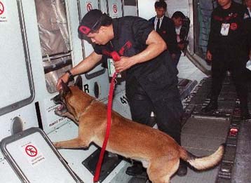 Νεκρός ο Φιλιππινέζος αεροπειρατής που πήδηξε με αλεξίπτωτο από τα 6.000 πόδια