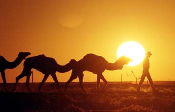 Τεράστια κοιτάσματα νερού κάτω από την έρημο ανακάλυψαν οι Αυστραλοί