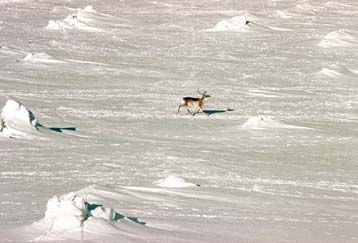 H θερμότητα του Ισημερινού έσωσε τη ζωή στη Γη πριν από 600 εκατ. χρόνια