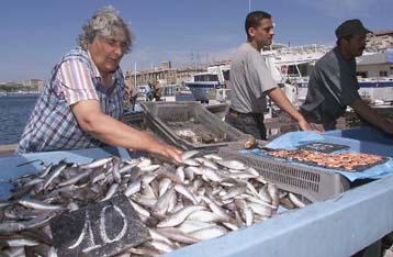 Επιρρεπές στις αλλεργίες το 1/4 του παγκόσμιου πληθυσμού