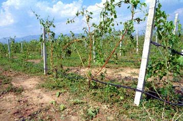 Φόρουμ για την ανάπτυξη των ΜΜΕ στη Βαλκανική