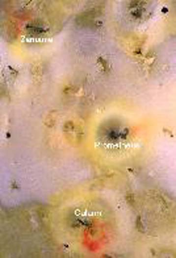 Τα εντυπωσιακά ηφαίστεια της Ιούς