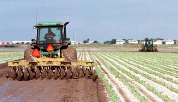 Ανησυχία στη Βρετανία για την κατά λάθος καλλιέργεια γενετικά τροποποιημένων σπόρων
