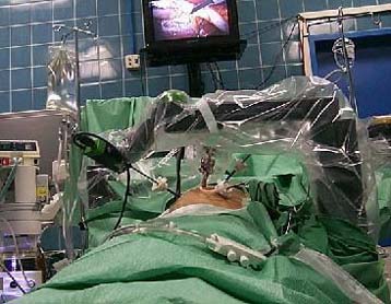 Διαλέξτε… πλαστικό χειρουργό μέσω Internet