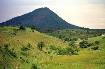 Η κυβέρνηση της Βραζιλίας οπισθοχωρεί στο ζήτημα της προστασίας των τροπικών δασών